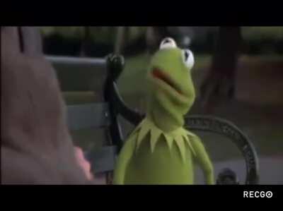 Pegasus looking at tiktokers saying dumb shit