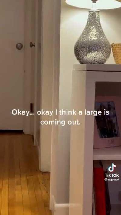 Bathroom chronicles. ..