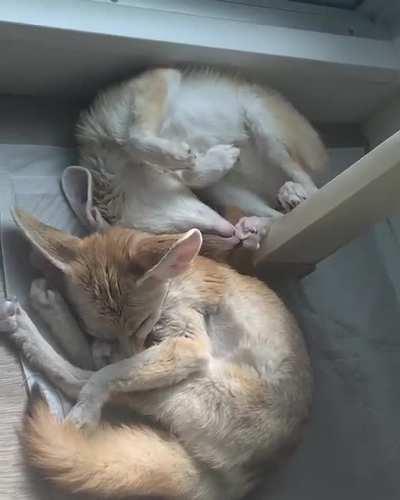 How is this comfortable…