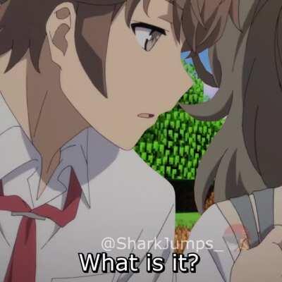 Rascal Does Not Dream of Minecraft 5