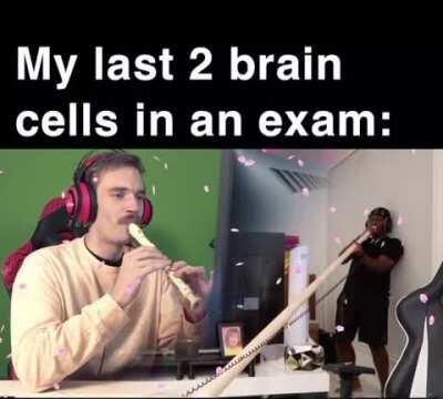 the collab we all needed