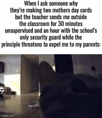 Elementary school was fun