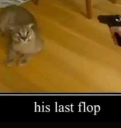 FLOPPA NOOOOO 😭😭