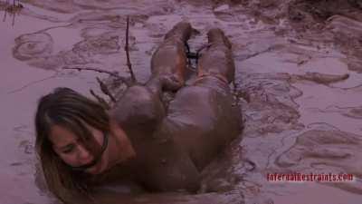 A day in the life of a big tit pig - Caned, Poked, wallowing in mud and bathing