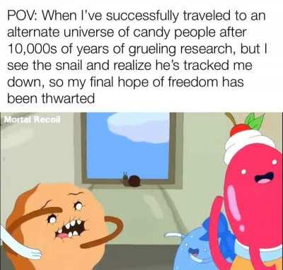 The fun will never end...