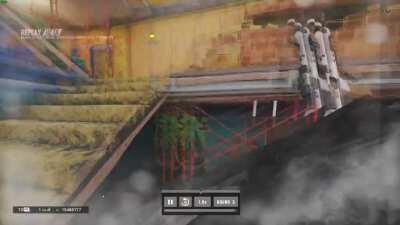 Rookty Dookty had a great fall