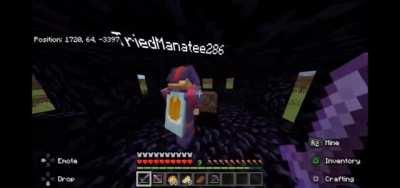 First time fighting the wither with my friend 