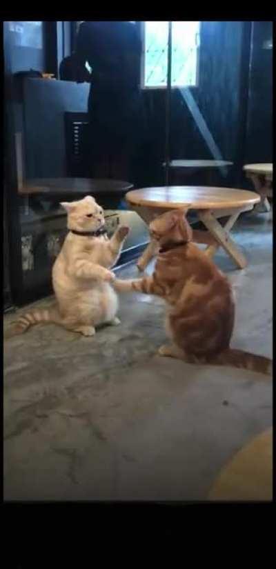 Oh...Oh..so your gonna leave me now!?