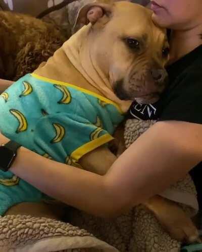 I was told she belongs here. Banana jammies because that’s her favorite fruit 🍌