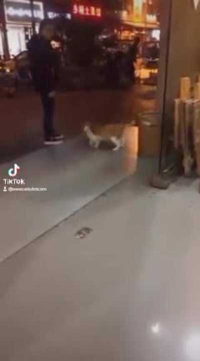 Michael Catson! 😎