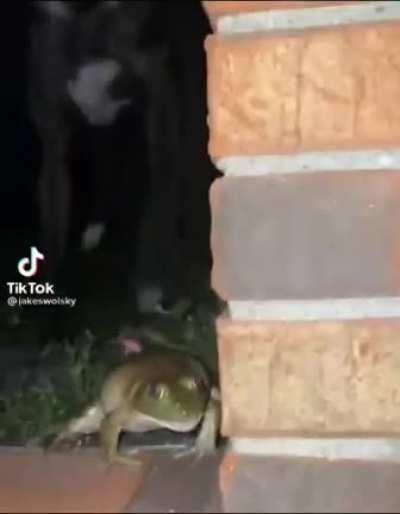 Thanks I Hate Screaming Frog