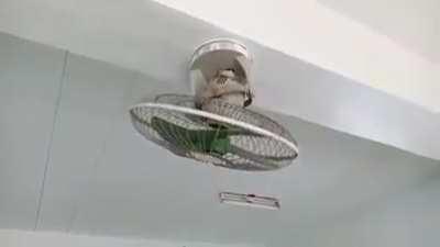 When you are alive but useless!!