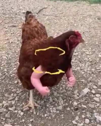 NOVO BOSS DE SANTO BERÇO ANUNCIADO?