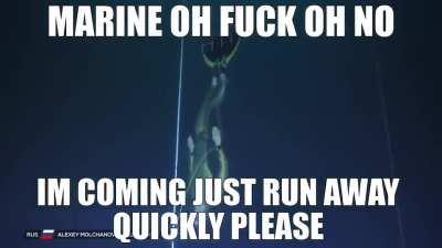 Marine and Sea Dragon Leviathan