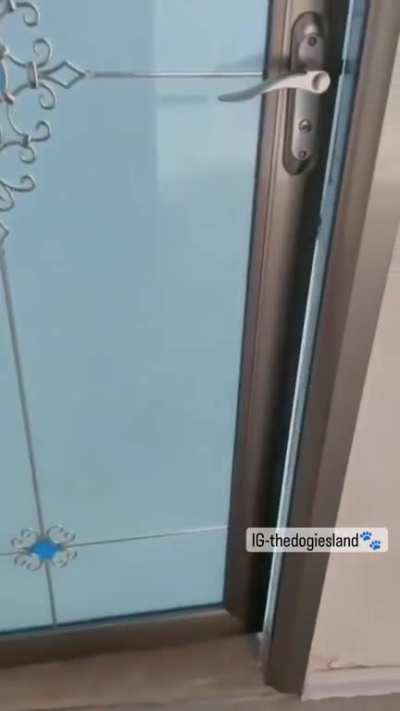 Hey you human, get out of here.....