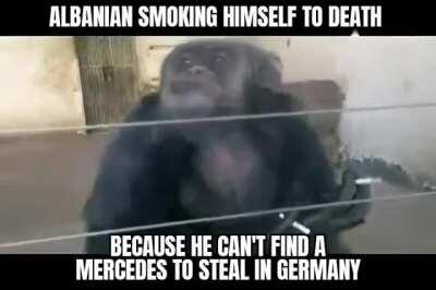 Analbanians 🤦🏻‍♂️🤦🏻‍♂️🤦🏻‍♂️