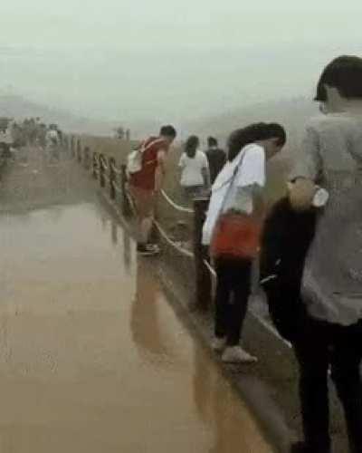 should have just walked around the puddle