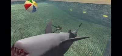 “Don’t get eaten!”