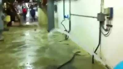 Apparently, shit explosions are a normal thing at sewage facilities