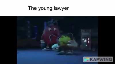 Revision karlo bachho