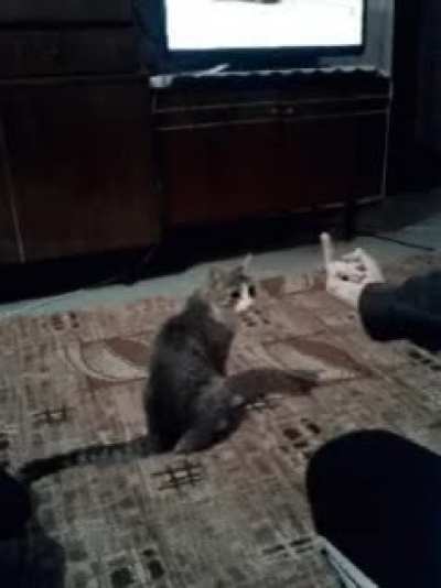 His ass does not stand for such disrespect