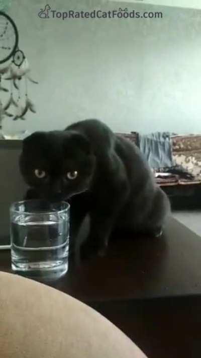 What's wrong with him?