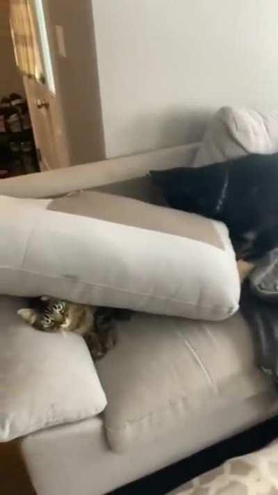 I don't want to see you