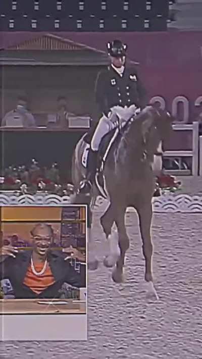 A crip-walking horse