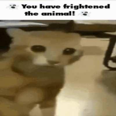 y he so frighten tho?