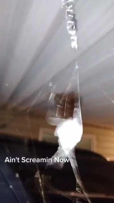 somebody said i should post this here!