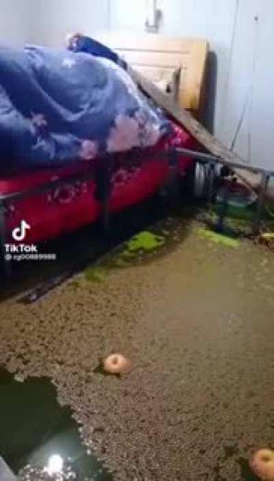 W̶͖͕̔͛̄́̆̕͝a̸̮͂̕k̷̡̨̥͓̗̭̖͖̯̠̽̇͂͌̀̈̽ȩ̶̧̰̥̣̔͝ ̷̡̧͈͇͈͍̟̩̹̰̂͛̈͐̔͘u̸̬̠͓̩̙͒̃̽p̵̪̭͇̞̞͉̊̅̋̾͛̊͝