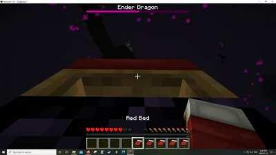 1.16 Enderdragon Speedrun (How to kill it on its first landing)