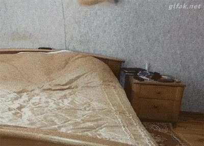 They need me, I NEED TO RUN!