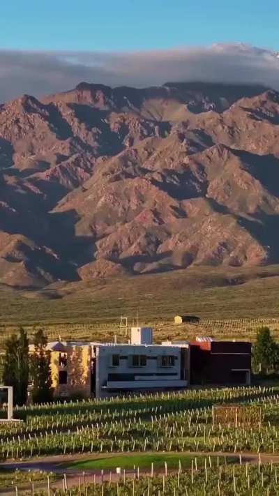 Un video que muestra la región de Mendoza en Argentina se vuelve viral.