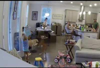 No good deed goes unpunished