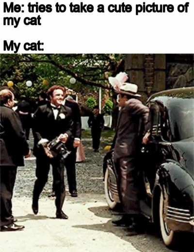 Why so cute but so unphotogenic