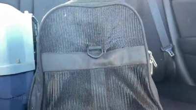 Эти глаза напротив...