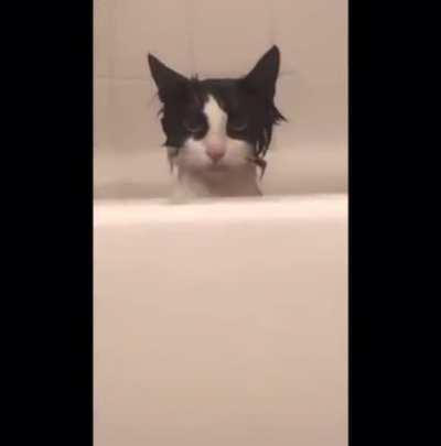 “I’ve been given a bath against my will” *Initiate assassination protocols*