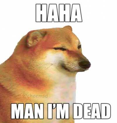 Grilled cheemsburbger