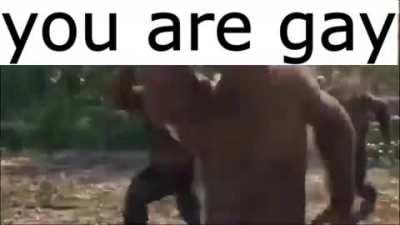 ape say you gay