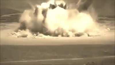 Le Neon Genesis Dogevangelion Has Arrived