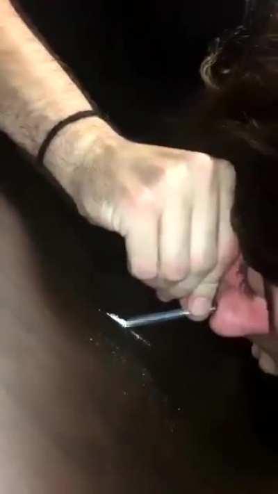 The mating call of crack heads are majestic