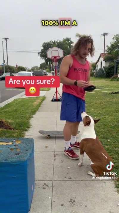 That dogs got skills