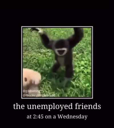 Monke Friends