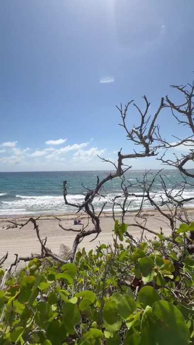 Ik it was risky but his view was too good not too suck him