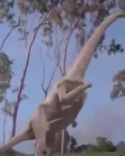 Evolution is amazing (crosspost, credit to u/memerobber69 on r/sciencememes)