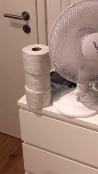 A duel between table fan and toilet paper rolls