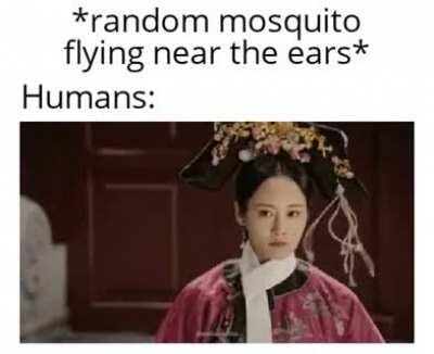 The most intelligent species on Earth.