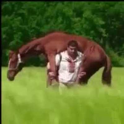 Charles during Austria.