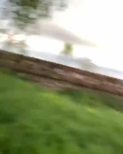 Oi mate, you got ur tv loisense?